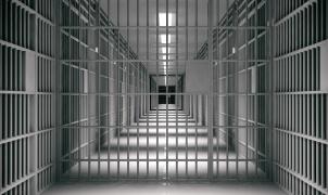 Acuzaţiile se concentrează în jurul unui set de cărţi care narează poveştile unui sat de oi care rezistă unei haite de lupi invadatoare