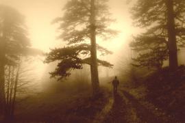 Un bărbat din Argeş, dat dispărut la un an de când a plecat de acasă şi nu s-a mai întors. Mama lui a fost cea care a dat alarma