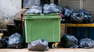 Într-un interogatoriu ulterioar, mama a dezvăluit că a născut copilul mort