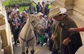 Senatorul a venit cu calul în Congres
