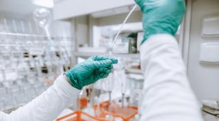 Focare raportate în 26 de ţări şi rate ale mortalităţii în creştere bruscă