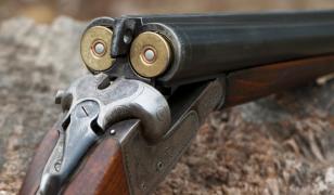 Un bărbat din Maramureș i-a împușcat câinele vecinului, după ce patrupedul i-ar fi atacat oile