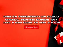 Vrei sa pregatesti un cadou special pentru bunicii tai? Iata 9 idei care te vor ajuta!