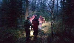 Un bărbat și-a pus capăt zilelor într-o pădure de pe Valea Azugii