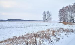 Femeie de 43 de ani, găsită fără suflare pe un câmp din Harghita, după ce dispăruse de câteva zile. Ar fi murit de frig