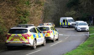 O tânără a murit pe loc, iar alta este în spital după ce au fost sfâșiate de câini în plină stradă, în UK