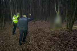Descoperire macabră: câini spânzuraţi în pădure