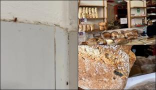 Gândaci, produse expirate și mizerie într-o brutărie din Timişoara. ANPC a dat amenzi de 30.000 de lei și a închis firma