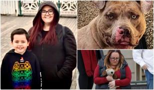 Un băiat de 10 ani, sfâșiat de un câine în timp ce era la joacă, în UK