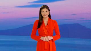 Observator de bine, 24 ianuarie 2023. Un căţel Chihuahua s-a întors alături de stăpâni la 7 ani de la dispariţie