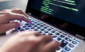 Un hacker olandez a furat datele tuturor austriecilor. Poliţiştii l-au prins după doi ani