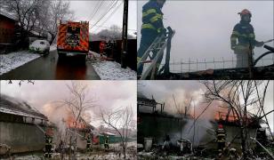 Pompierii au salvat 17 pisici din locuință