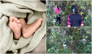 Un nou-născut, găsit abandonat într-o pădure din SUA