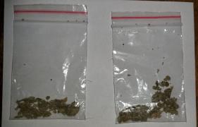 tânăr prins cu două "pliculețe cu substanță vegetală" în Brăila