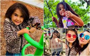 Copilă de 7 ani, sfâşiată de un pitbull lăsat liber pe stradă