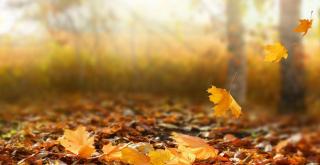 Vremea de mâine 2 octombrie. Se mai răcoreşte în aproape toată ţara, iar temperaturile se vor situa înte 3 şi 25 de grade