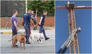 "Îmi vreau casa înapoi!" Un tânăr român a amenințat ore în șir că se aruncă de pe o macara, în Italia. Polițiștii i-au adus câinii, ca să-l liniștească