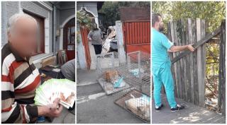 O haită de câini îşi făcea veacul într-o curte din Sectorul 4. Animalele, toate nesterilizate, puteau ieşi pe stradă printr-o spărtură în gard