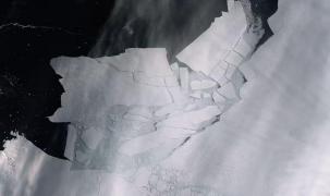 Descoperire incredibilă făcută de oamenii de știință sub gheața antarctică. A fost "înghețat în timp"