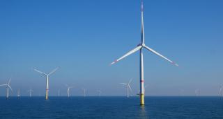 O mare companie germană s-a prăbuşit pe burse.  A cerut garanții de stat de 16 miliarde de euro pentru pierderile suferite