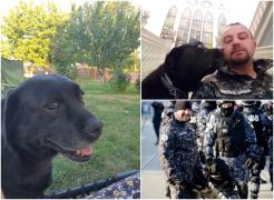 Doliu în Penitenciarul Iaşi. A murit Tina, cel mai curajos câine de serviciu, care şi-a ajutat camarazii pentru un deceniu.