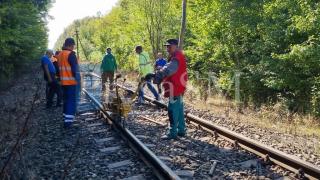 Turmă cu aproximativ 100 de oi, spulberată de tren în Satu Mare. Mioarele dormeau pe şine