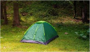 Soț și soție, spintecați de un grizzly, în excursia cu cortul din Canada. Au fost găsiți morți împreună cu câinele lor