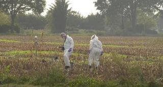 Ucis în lanul de porumb. O combină agricolă l-a strivit până la moarte în timp ce dormea, pe un câmp din Olanda