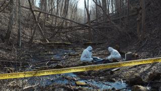 Adolescent de 15 ani, dispărut de vineri, găsit mort. A fost descoperit spânzurat întâmplător, în timpul unei partide de vânătoare, într-o zonă forestieră din Franţa