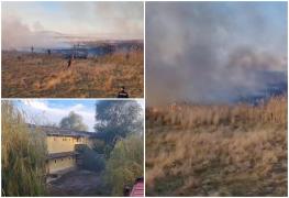 Incendiu puternic în Tulcea. Peste 10 hectare de teren au fost înghiţite de flăcări