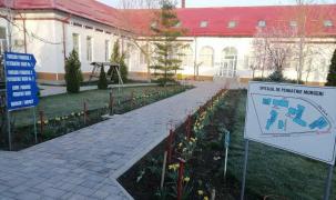 4 pacienţi de la Spitalul de Psihiatrie Murgeni, preluaţi în stare gravă. Trei au murit la scurt timp, după ce ar fi consumat mâncare contaminată cu otravă de şoareci