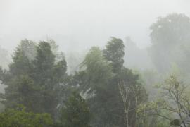 Alertă meteo de ploi abundente în 6 judeţe până duminică. Cod galben şi portocaliu de vreme rea în alte 23 de judeţe