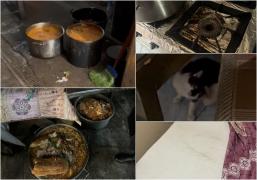 Saltele murdare, animale în bucătărie şi mâncare depozitată pe jos, la pensiunea Denisa din Vâlcea. ANPC a închis locaţia: "Focar de infecție!"