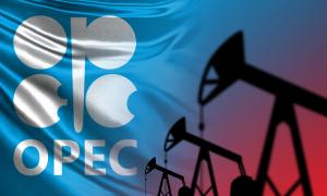 OPEC, cartelul exportatorilor de petrol, pierde un membru. Angola părăsește organizația, nemulțumită de reducerea cotelor de producție