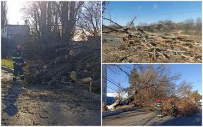 Vântul puternic a făcut ravagii în mai multe zone din ţară. În Giurgiu, o creangă a unui arbore a căzut peste o maşină cu doi oameni