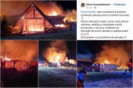 Şeful ANPC, Horia Constantinescu, lăuda pensiunea Ferma Dacilor în octombrie: "Jumări ca aici nu găseşti nicăieri în lume"