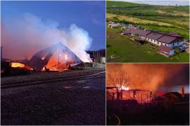 DNA redeschide dosarul autorizaţiei de la Ferma Dacilor. În 2019, a primit doar un avertisment în loc de 10.000 de lei amendă