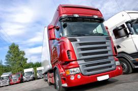 Doi tineri, arestaţi după ar fi furat bani din cabina unui TIR, în Vâlcea. Când şi-au dat seama că au fost prinşi, indivizii s-au năpustit asupra poliţiştilor