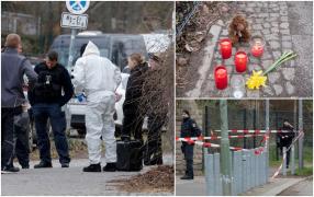 Fetiță de 5 ani înjunghiată, găsită agonizând în tufișurile unui parc din Berlin. Copila a murit la spital, iar suspect de crimă este babysitter-ul de 19 ani