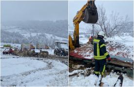 Adăpost prăbușit peste o turmă de 300 de oi