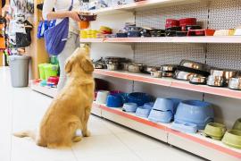 (P) De ce să cumperi hrană și alte produse pentru câini și pisici de la un pet shop