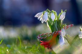 1 Martie - Mărţişor. Tradiţii, obiceiuri şi superstiţii la români