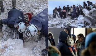 Situație disperată în Siria, în urma cutremurelor. Medicii descriu scene de groază. "Ne luptăm deja cu o epidemie de rujeolă și tocmai am trecut de vârful valului de holerei"