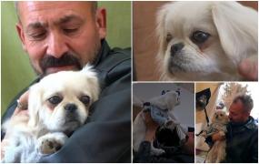 "Există o iubire uriașă între noi, care s-a născut din ruine". Bincir, un câine salvat din dărâmături în Turcia, adoptat de familia care i-a dat o nouă șansă