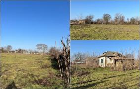 ANAF scoate iar la licitaţie o casă cu teren, după ce nimeni nu a oferit 83.000 de lei. Câţi bani cere acum