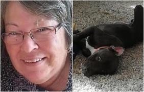 O bunică a murit sfâşiată de un pitbull pe care îl salvase de pe stradă