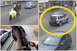 Reacţia şoferului oprit de poliţiştii călare