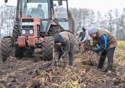 Muncitori români, în Germania