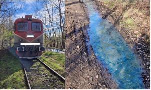Tren de marfă cu 25 vagoane, deraiat în Vâlcea. Rezervorul locomotivei s-a spart și s-au scurs două tone de motorină