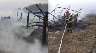 Aproximativ 100 de oi au ars